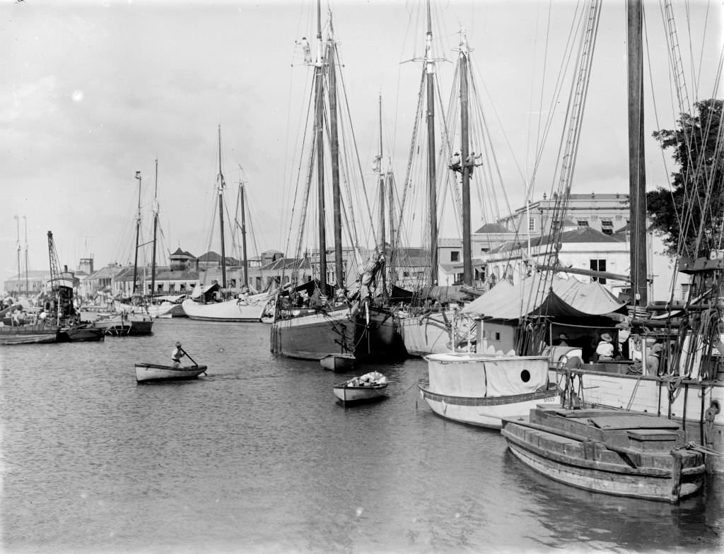The Port of Bridgetown, Barbados, 1908.