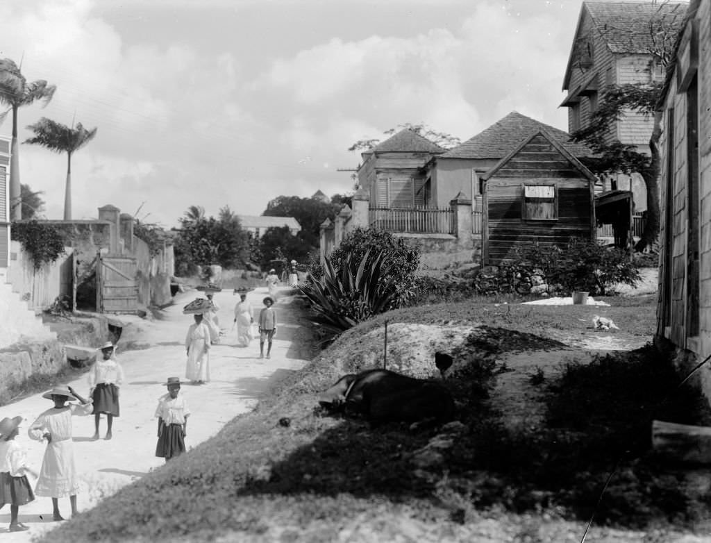Main road out of Bridgetown to Eagle Hill and Spike's Town, Barbados, 1908.