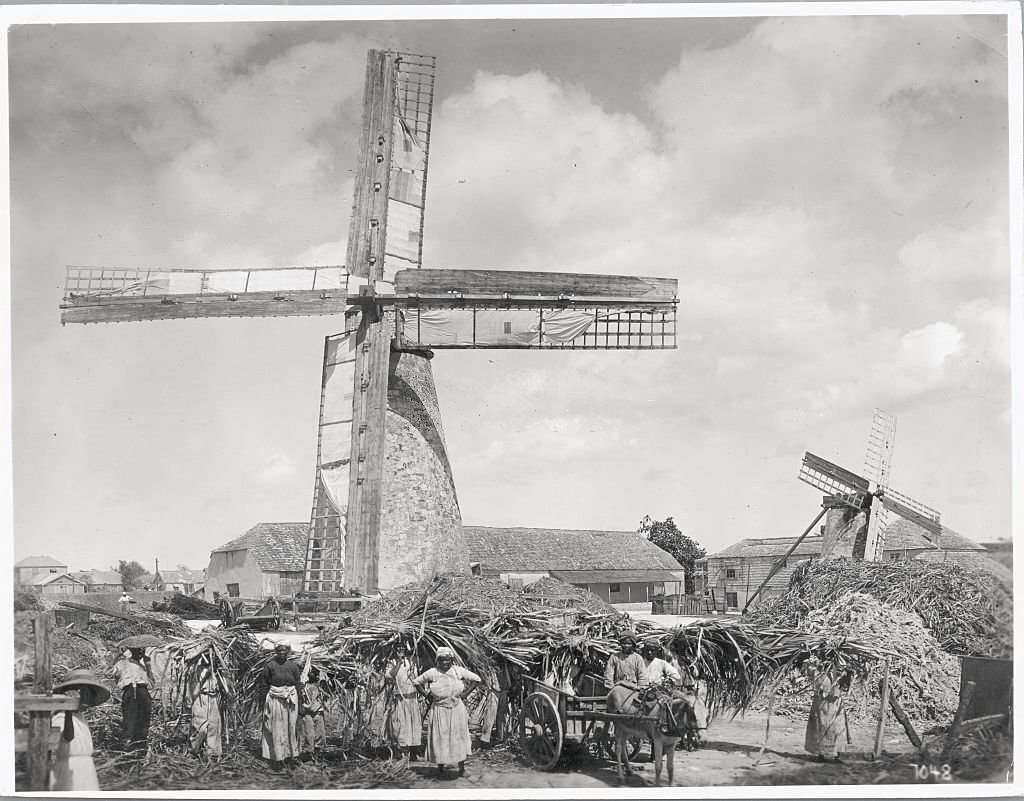Sugar Cane Workers Posing by Windmill