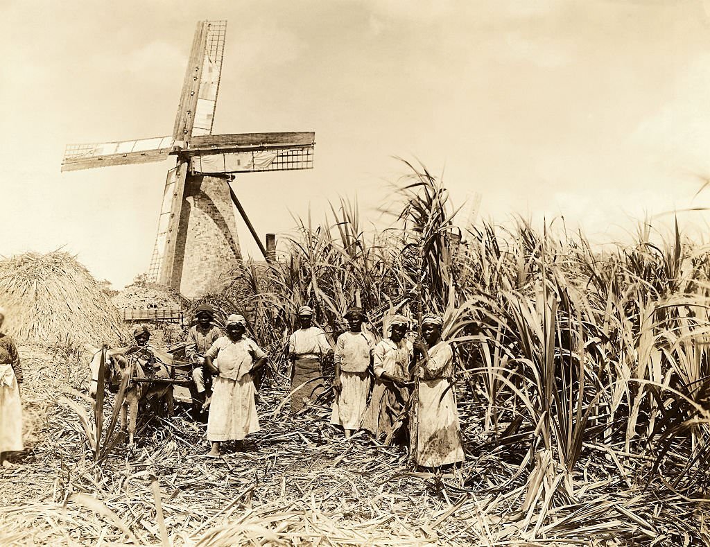 Workers in the sugarcane fields stand in front of the windmill used to grind the cane.
