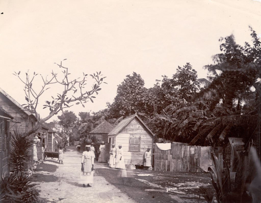 A native street in Bridgetown, Barbados, 7th March 1896.