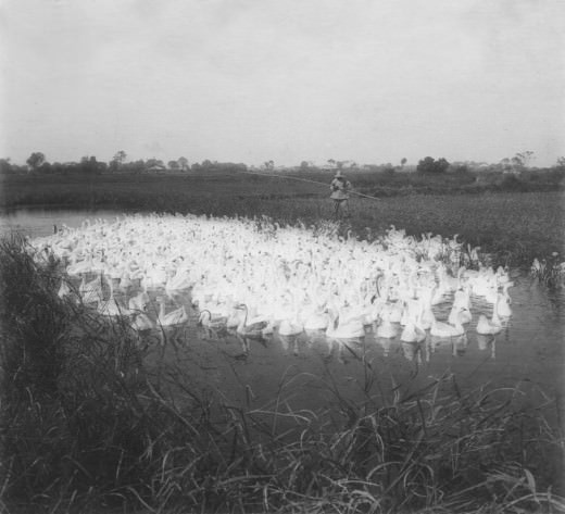 Fascinating Historical Photos of China in the 1930s that Offer a Glimpse into Everyday Life