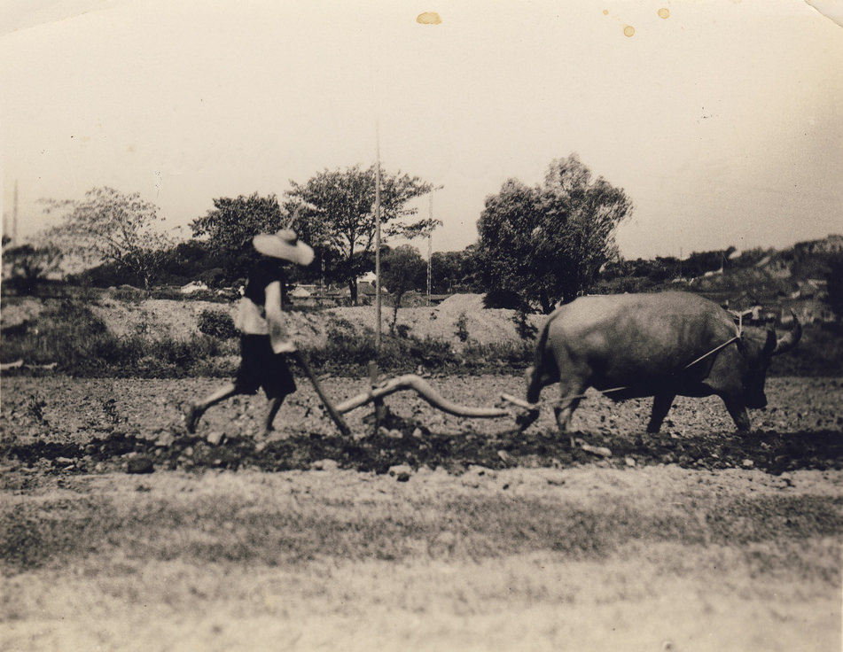 Fascinating Historical Photos of China in the 1930s that Offer a Glimpse into Everyday Life