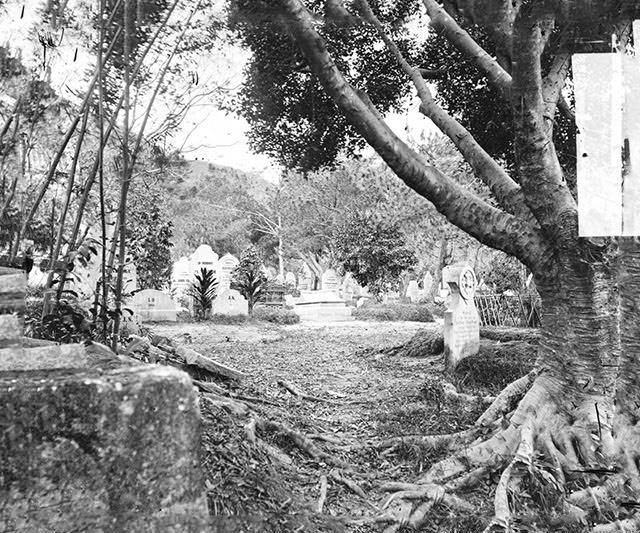 Cemetery in Happy Valley, with the gable end of the roof of the Chapel of Ease appears behind the bamboos on the left edge, 1869