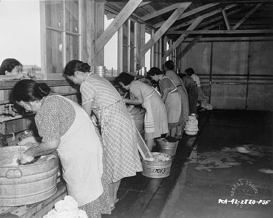 Several Japanese American women, detainees at an assembly center, washing clothes in large galvanized washtubs.