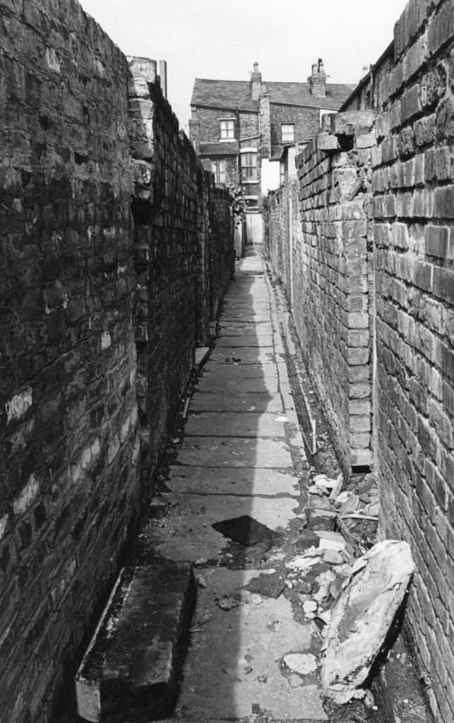 A typical Edge Hill alley way, Liverpool, 17th August 1981.