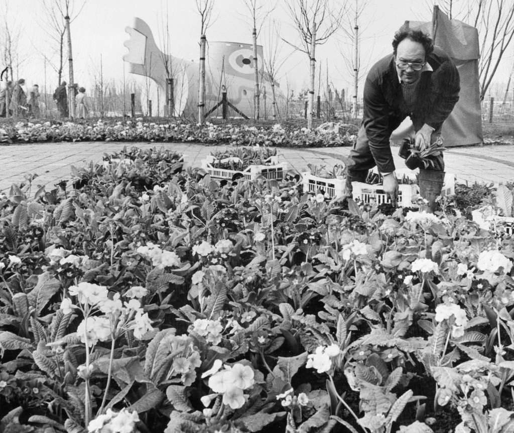 Liverpool's International Garden Festival, 23rd March 1984