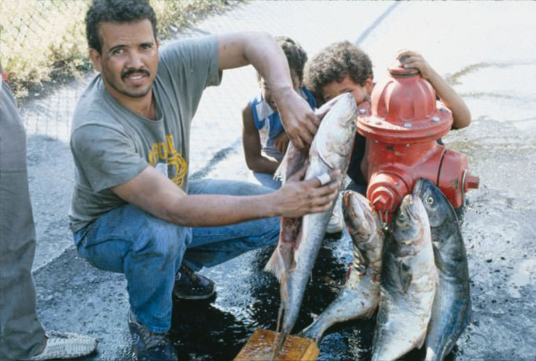 Cleaning bluefish on sidewalk.