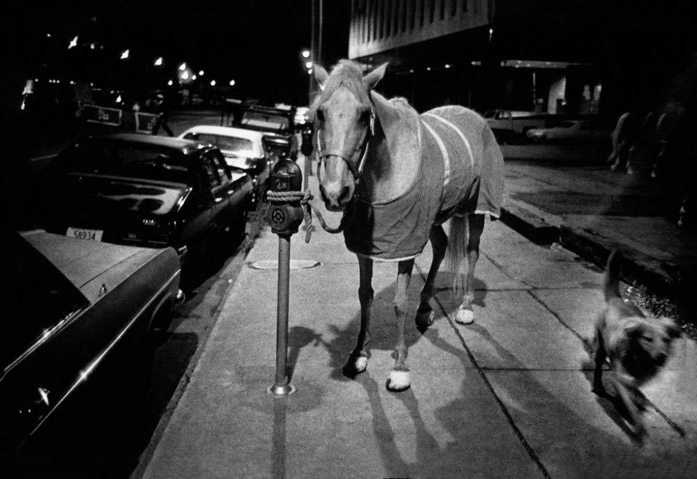 Fabulous Photos of Mardi Gras, New Orleans from the 1970s and 1980s by Bruce Gilden