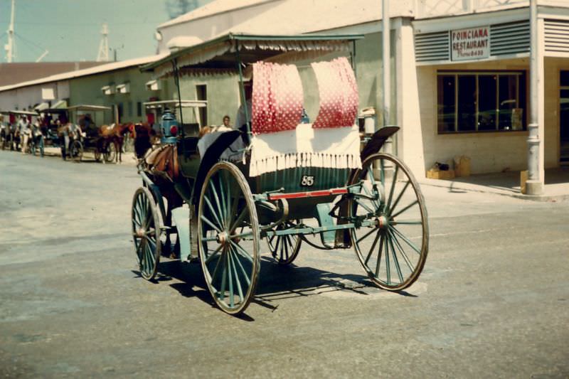 A surrey, Nassau, 1960