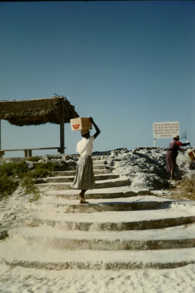 Woman carrying seaweed, Nassau, 1960