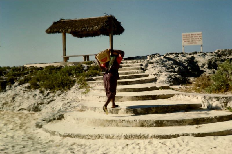 Woman carrying seaweed, Nassau, 1960