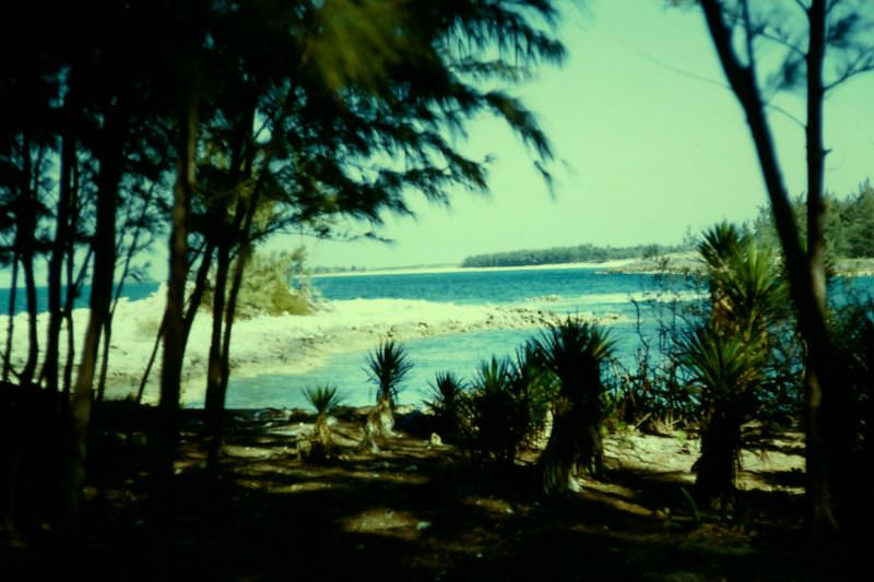 Hog Island, Nassau, 1960