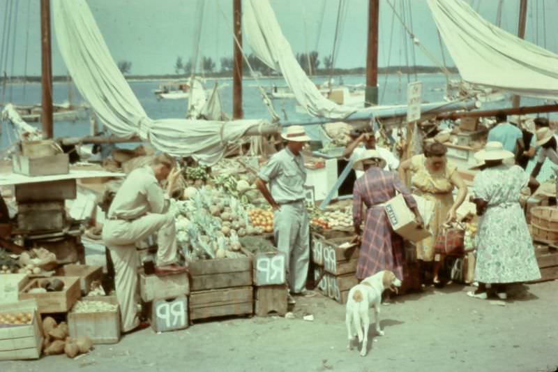 Native waterfront market, Nassau, 1960