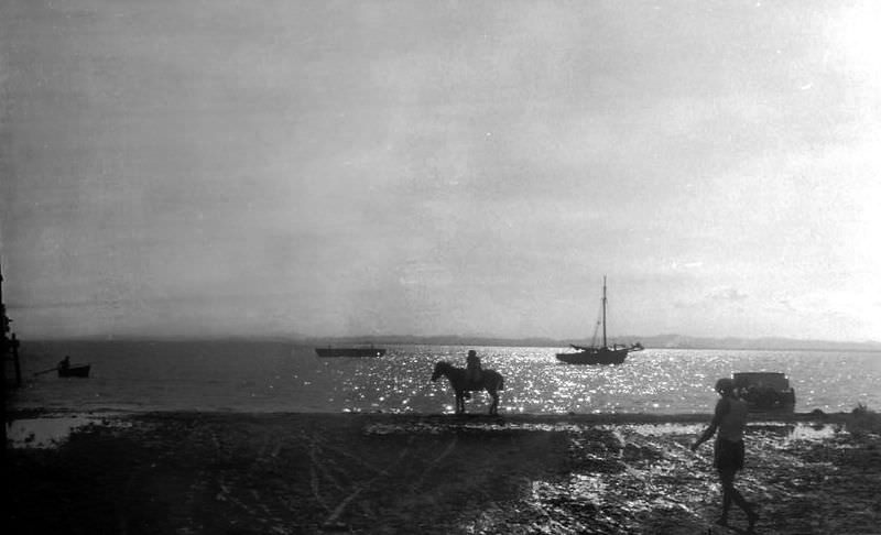 Seashore & horseman