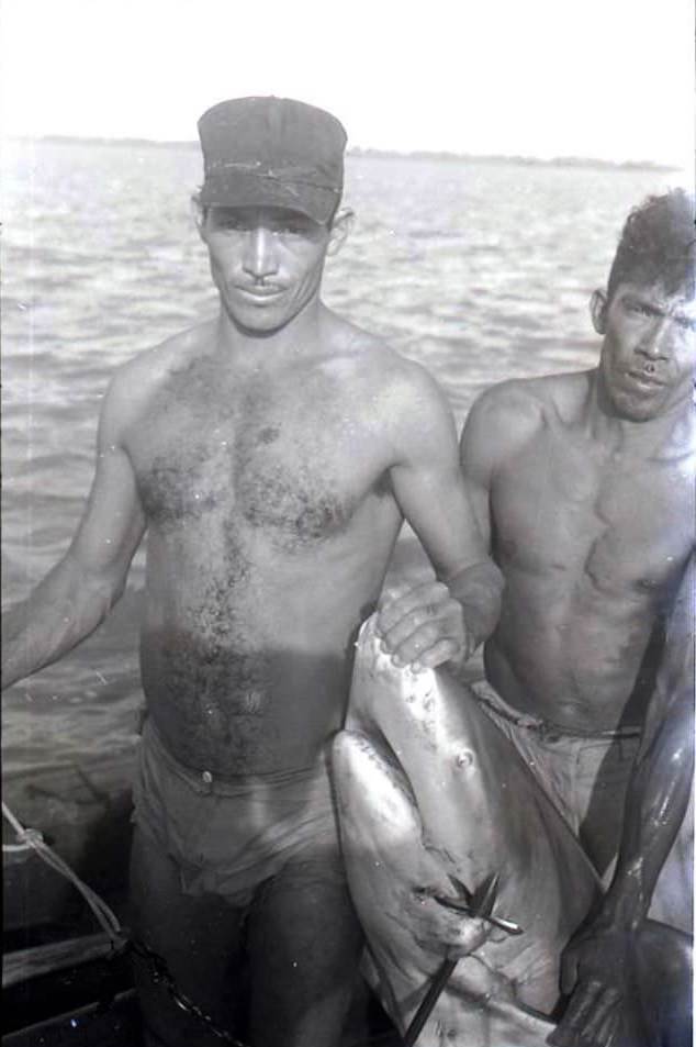 Shark and hunks