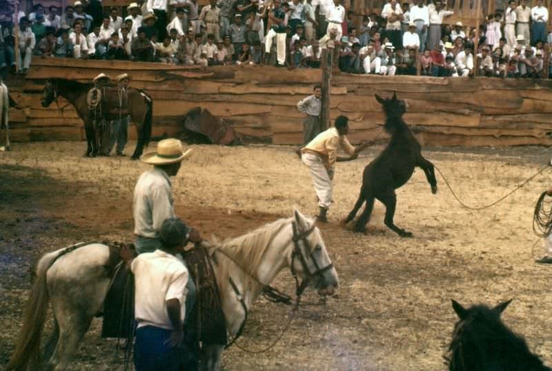 At a Nicaraguan rodeo