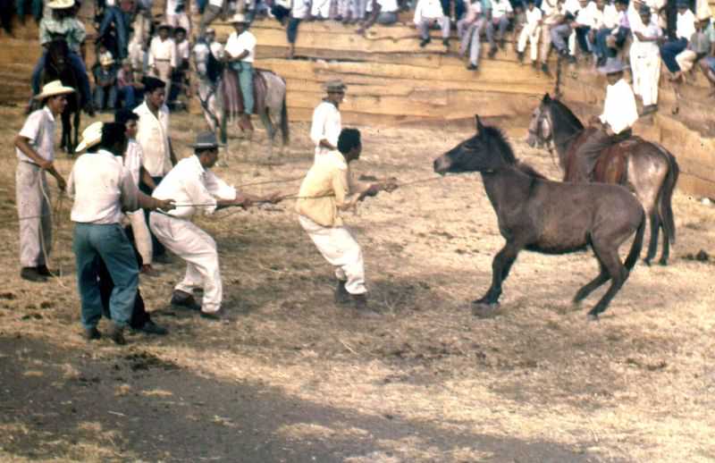 At a Nicaraguan rodeo