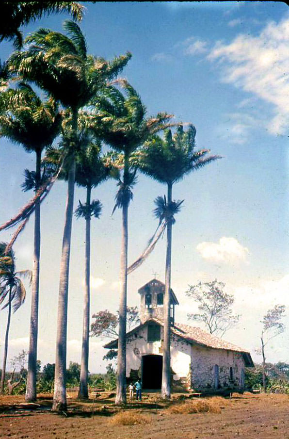 Country church and palm trees