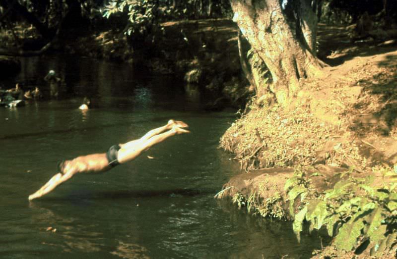 Diving into the swimming hole