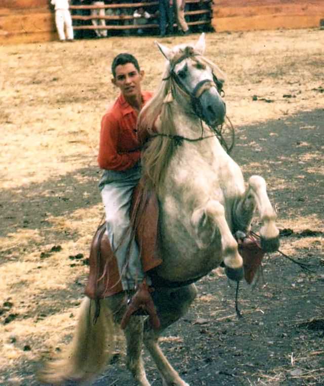 Levade at a Nicaraguan rodeo