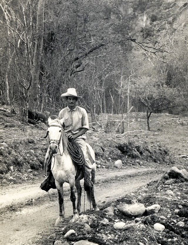 Man riding on horse