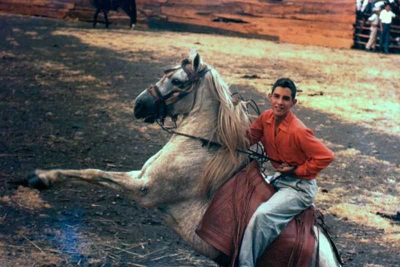 Rearing horse at a Nicaraguan rodeo
