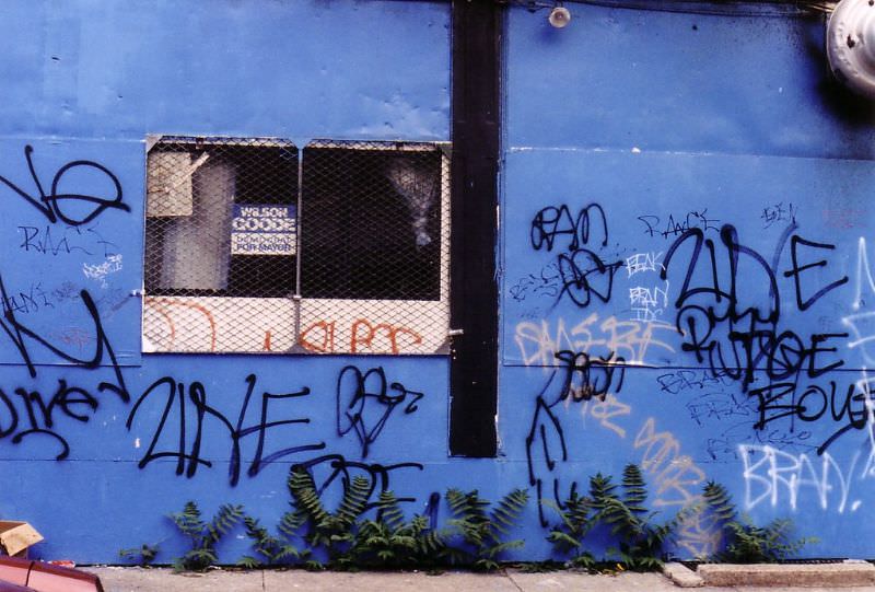 West Philadelphia, 1982