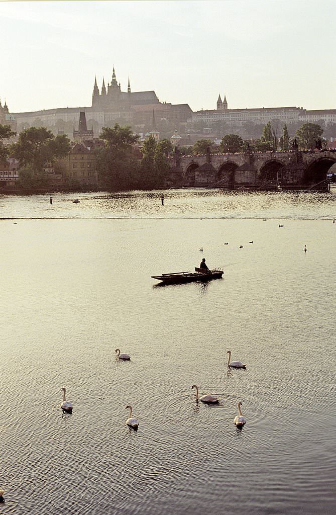 Swans and a fishing boat on the Vltava River, Prague, 1990s