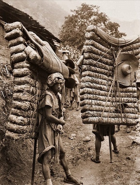 Men Laden With Tea, Sichuan Sheng, China, 1908