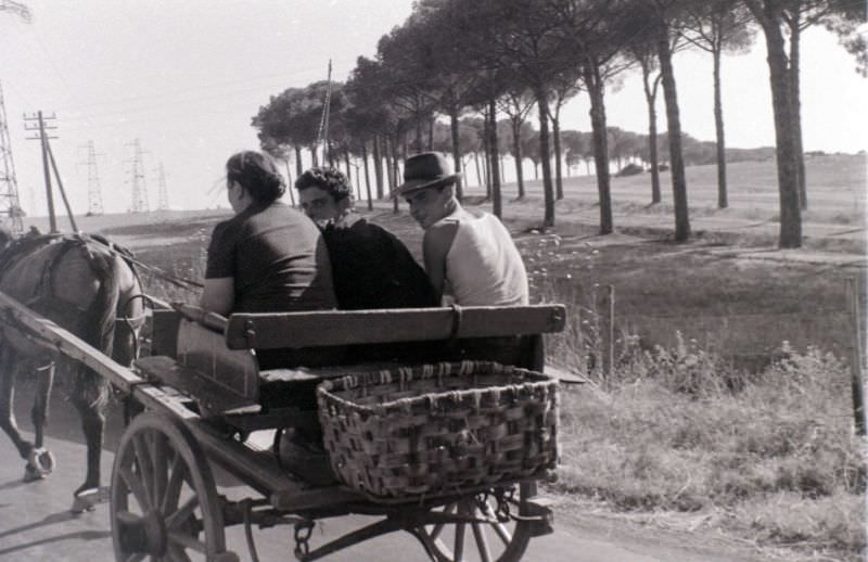 Via Appia,1956