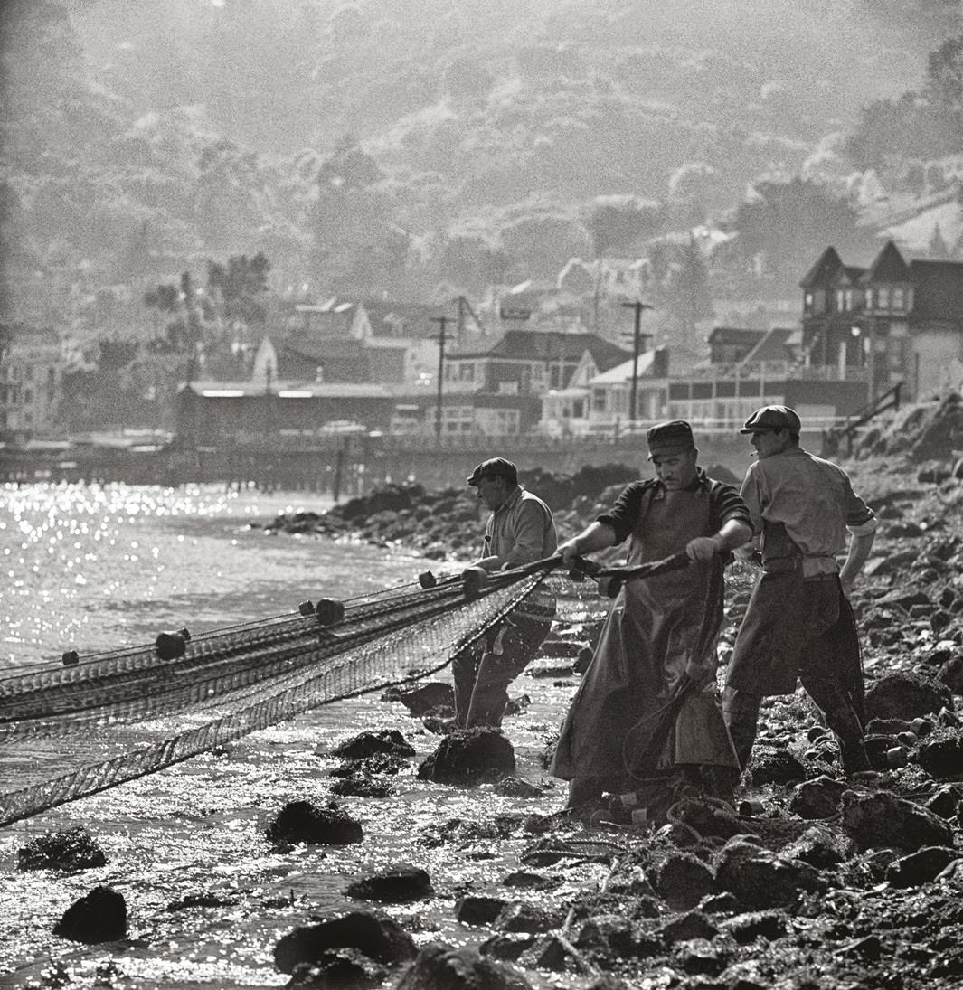 Stunning Vintage Photos of San Francisco from 1940s-1960s by Fred Lyon