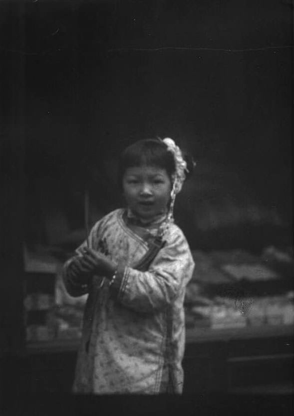 Life in San Francisco's Chinatown at the Turn of the 20th Century by Arnold Genthe