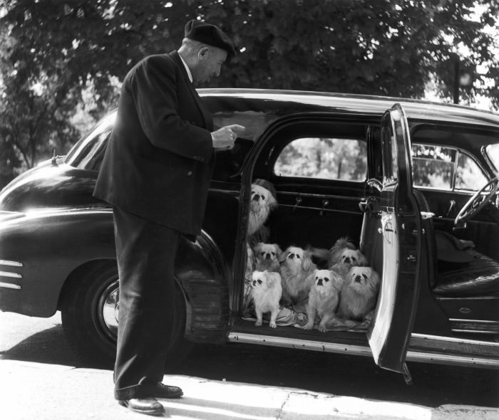 The Street Life of Paris Through the Spectacular Photography of Robert Doisneau, 1930s-1950s