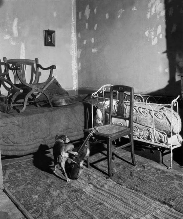 The Street Life of Paris Through the Spectacular Photography of Robert Doisneau, 1930s-1950s