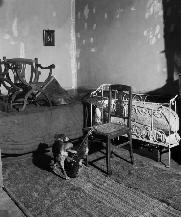 The Street Life of Paris Through the Spectacular Photography of Robert Doisneau, 1930s-1950s