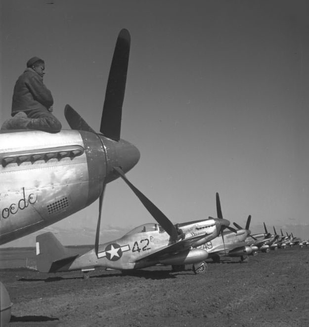 A Tuskegee airman sitting on top of an airplane, a P-5D, Creamer's Dream airplane in the background