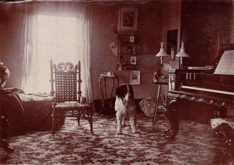 During the Victorian and Edwardian eras, Wallpaper was an essential Decoration of House Interior