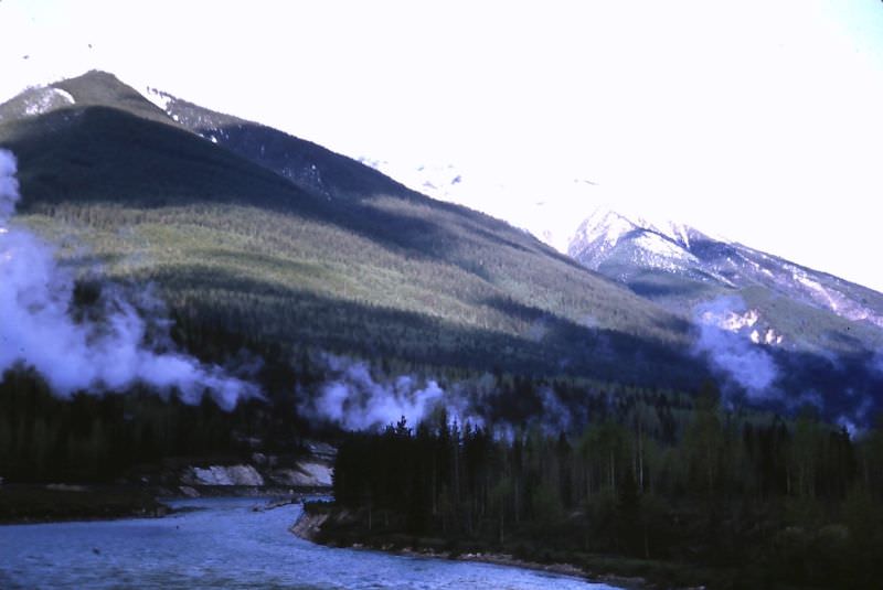 Field. Kicking Horse River, 1947