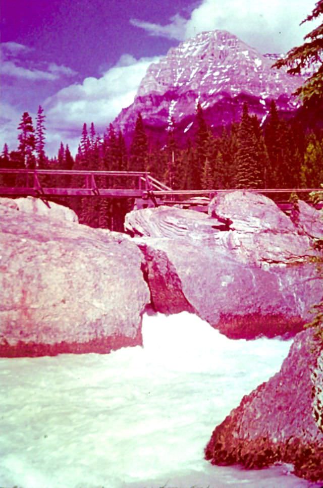 Kicking Horse River - Natural Bridge, 1947