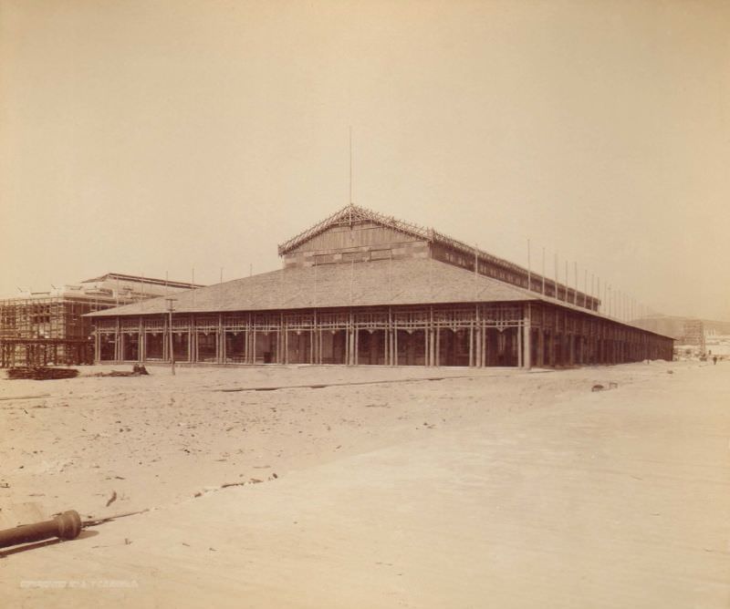 Forestry Building, World's Columbian Exposition, Chicago, 1893