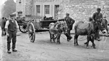 Dublin at the turn of the 20th Century