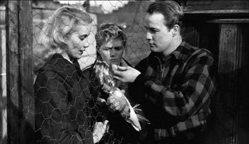 Marlon Brando On the Waterfront 1954