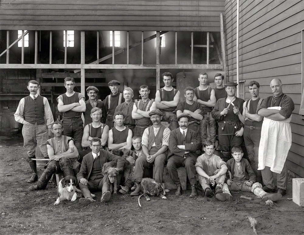 Employees of Thomas Mitchell Ltd, Whanganui, New Zealand, 1914