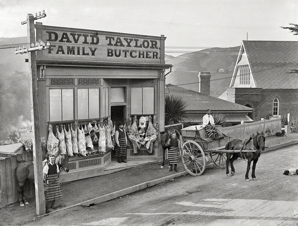 David Taylor's butcher shop, Wadestown, showing decorated carcasses and horse-drawn delivery cart, Wellington, New Zealand, 1910