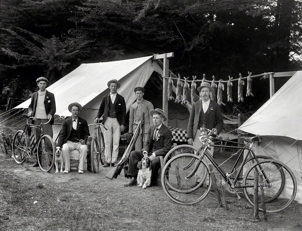 Rabbit-hunting party of six men, with bicycles, guns and dogs, including rabbits strung between two tents, Christchurch, New Zealand, 1910