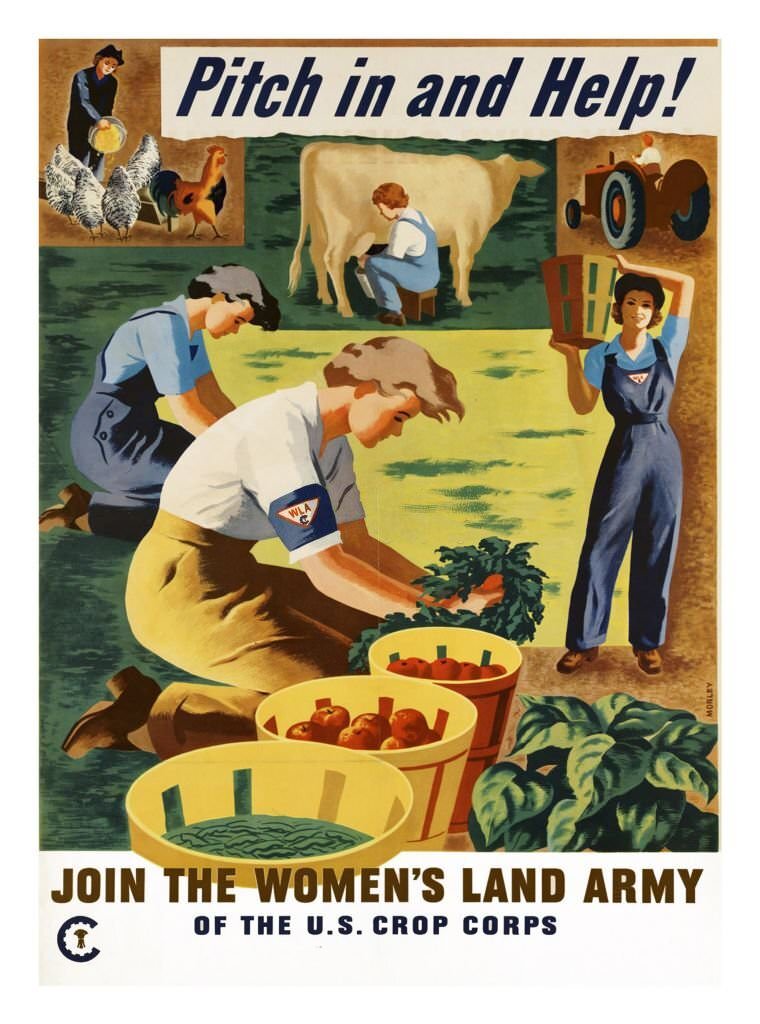 Propaganda poster from WWII advertising the importance of helping the war effort through joining the Women's Land Army.