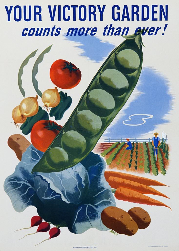 Your Victory Garden Poster.