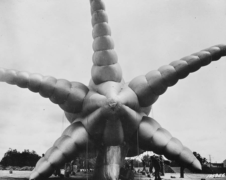 An enormous octopus balloon rises from the ground at the barrage balloon training center of Tennesse's Camp Tyson, circa World War II.