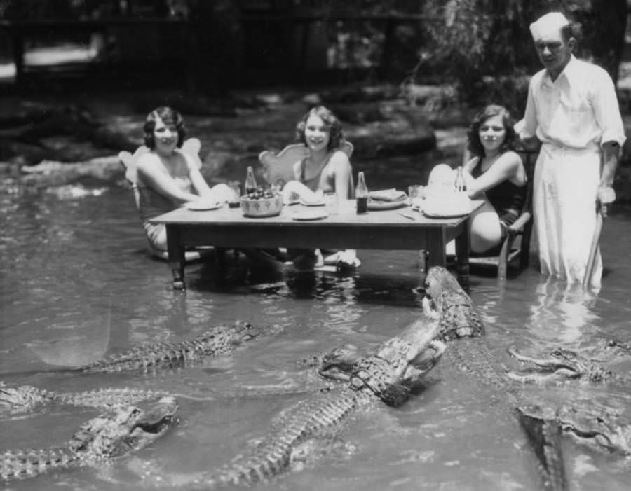 A picnic at Los Angeles' California Alligator Farm, where patrons were allowed to mingle freely among trained alligators from 1907 to 1953.
